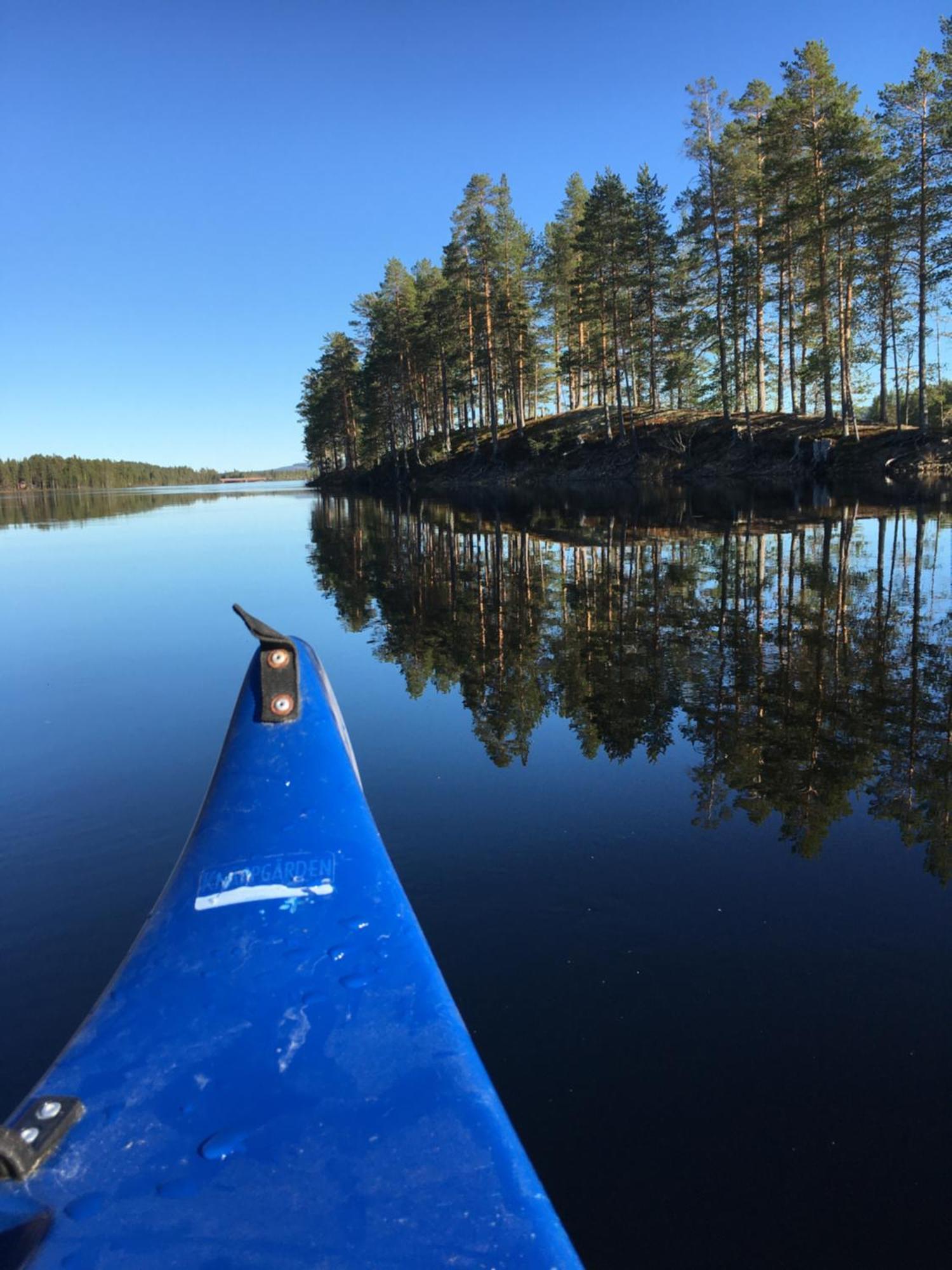 Knappgarden Särna Extérieur photo