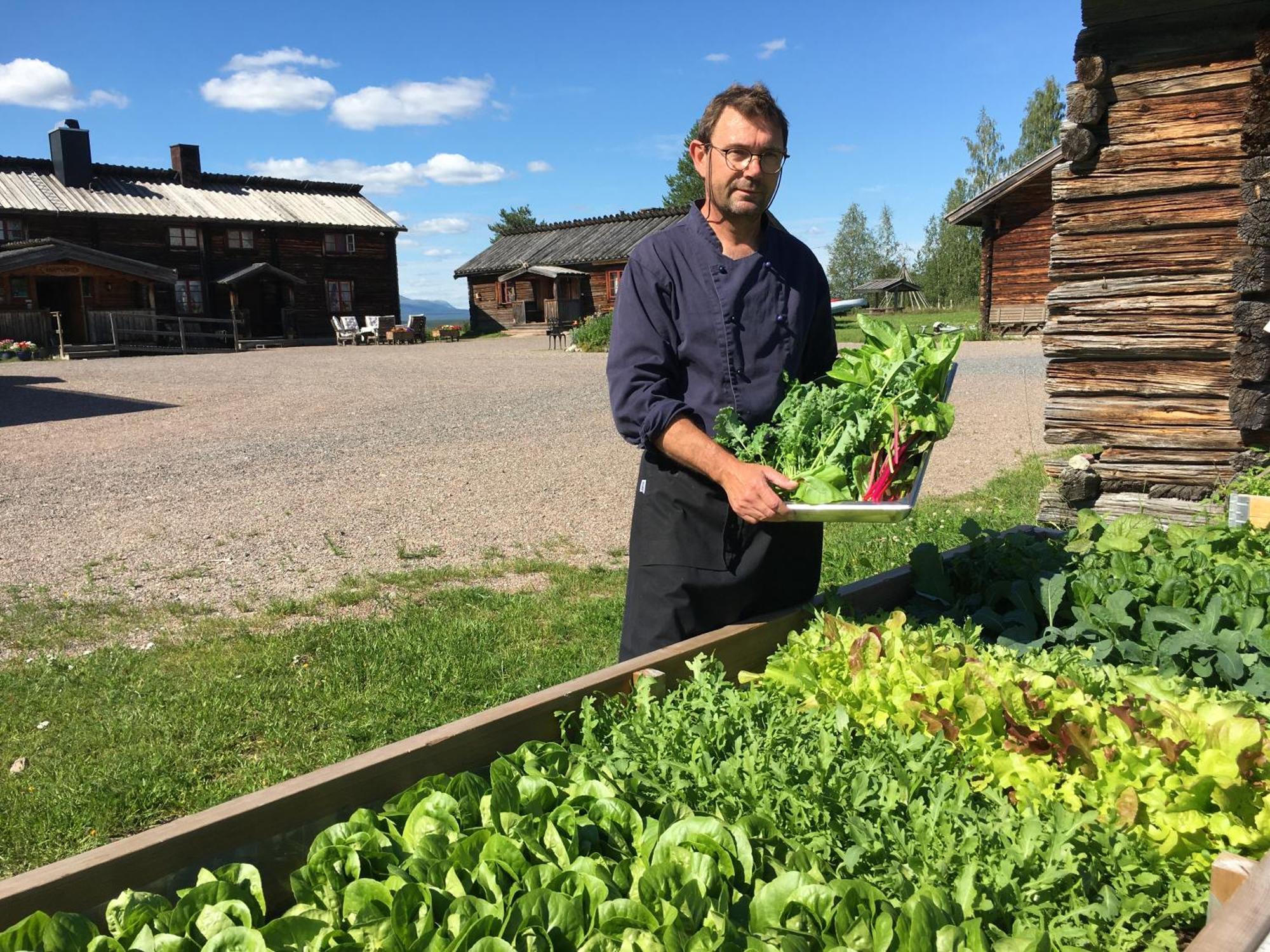 Knappgarden Särna Extérieur photo