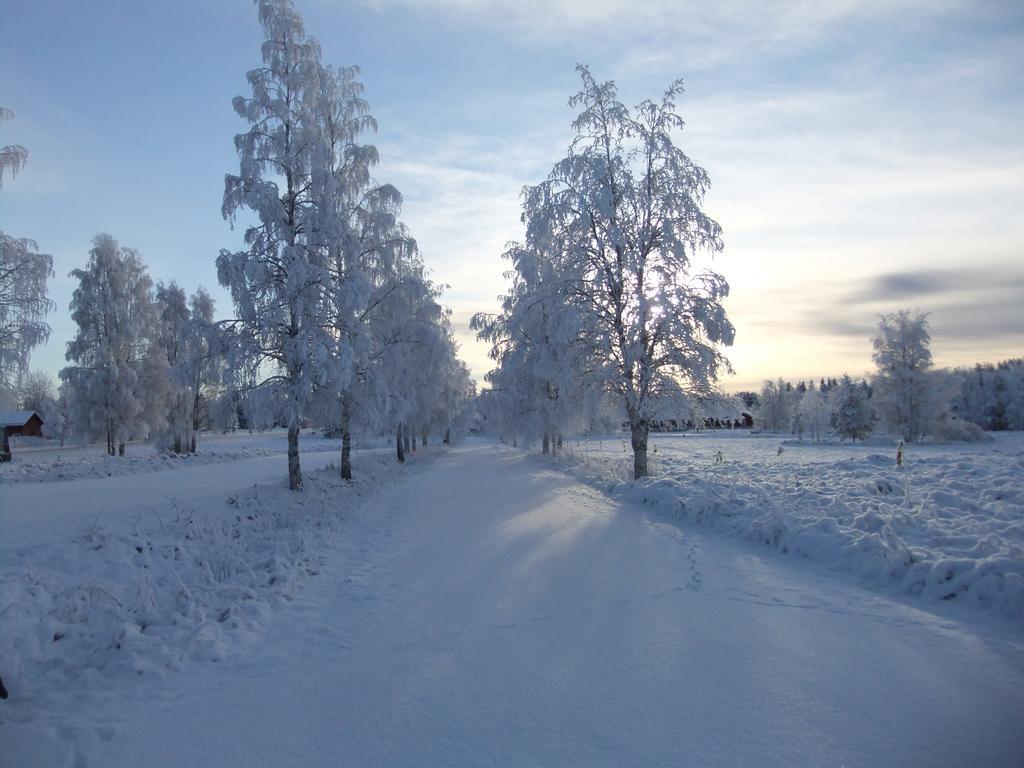 Knappgarden Särna Extérieur photo